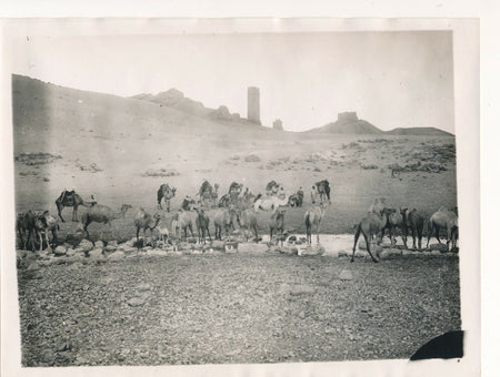 Palmyre Syrie tirage époque v. 1927-1929 photo photographie chameaux