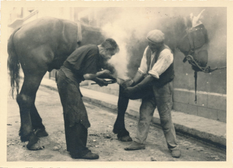 Ferrage des chevaux fer à cheval 5 tirages argentiques d'époque, vers 1930