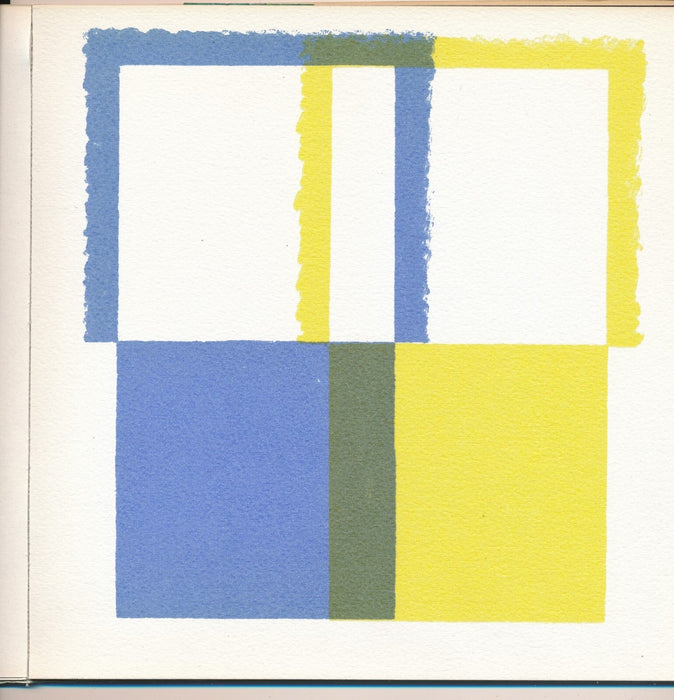 Albert Ayme Paradigme du bleu et jaune catalogue 1976 photo sérigraphies