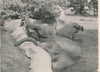 2 photos éléphant zoo v. 1930 photo photographie époque