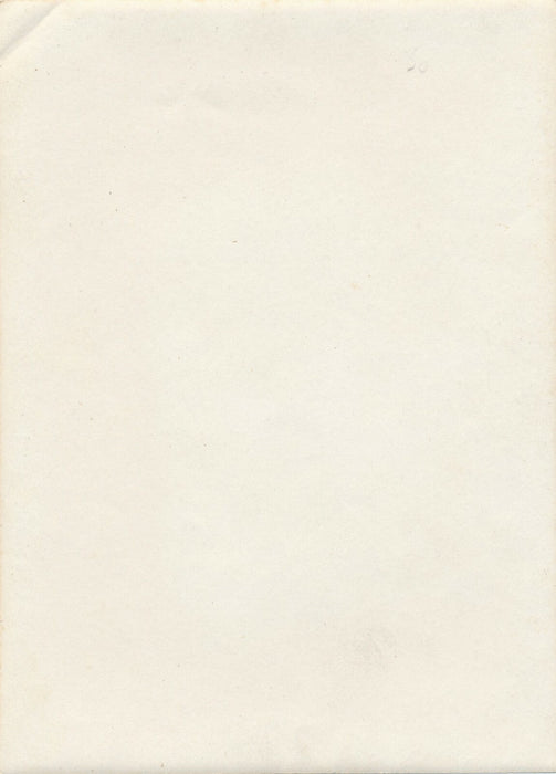 trois grâces au milieu fleurs prairie photo photographie argentique femmes