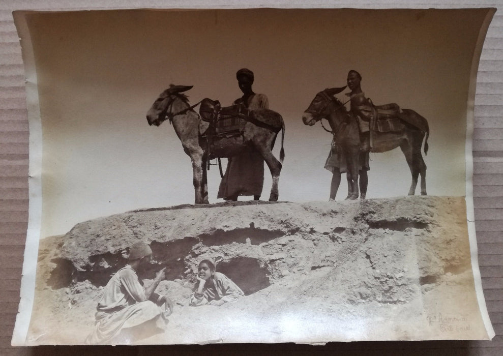 Hippolyte Arnoux égypte Port Saïd ânes albumine albumen  v. 1880 vintage photo