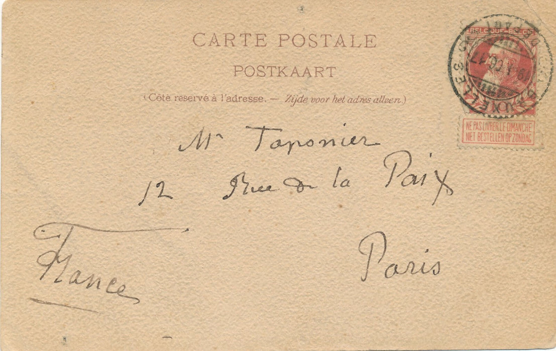 Tola DORIAN 2 lettres autographes signée et 6 cartes postales ses chiens sa vie