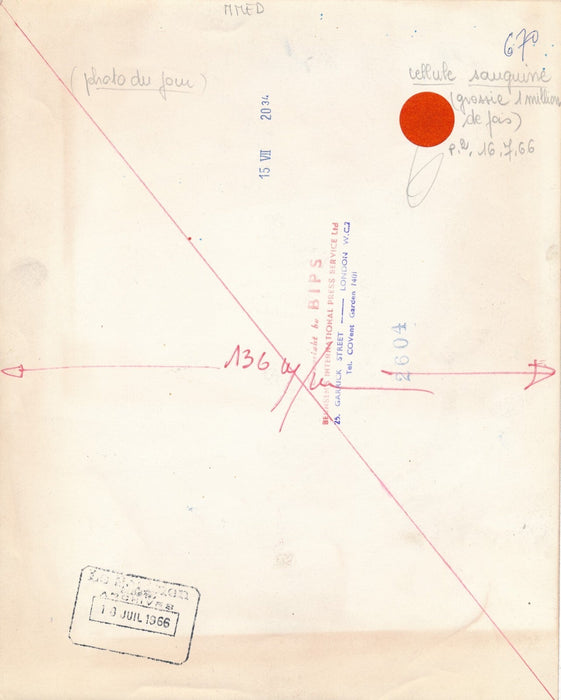 Cellule sanguine agrandissement million x fois photo pohotographie vintage 1966
