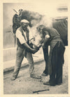 Ferrage des chevaux fer à cheval 5 tirages argentiques d'époque, vers 1930