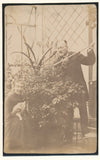 Anonyme peintre fleurs véranda famille 2 photos photographie albumine