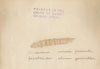 Trophées nazis avions Moscou Seconde Guerre mondiale photographie vintage