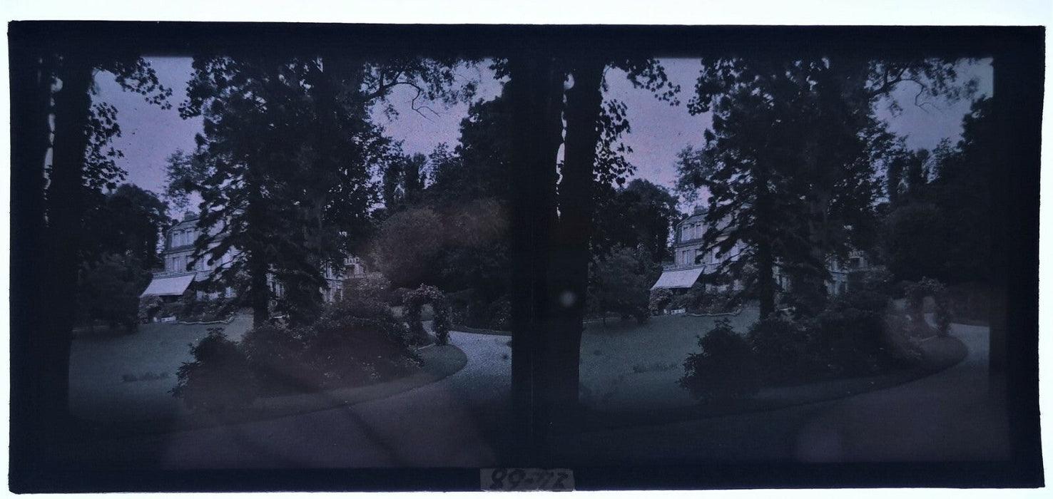 6 stéréo autochrome jardins fleurs photo photographie
