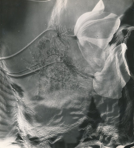 fleurs Anonyme argentique photomontage v. 1960. photo photographie