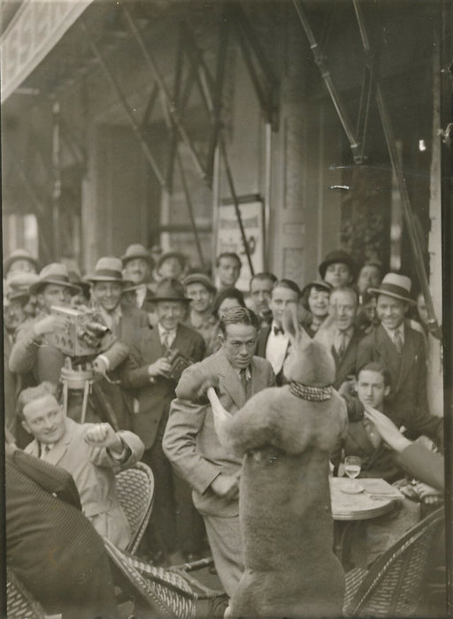 Kangourou boxeur tirage époque 1933 forain caméra boxe photo photographie