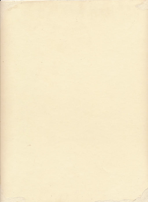 Photo Nature morte chasse oiseaux fusil tirage argentique époque