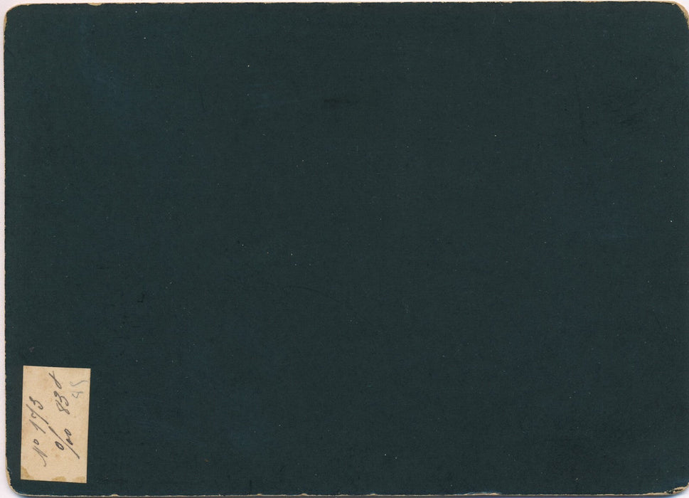 Le déjeuner dans la cour albumine femme enfant photo photographie v. 1890