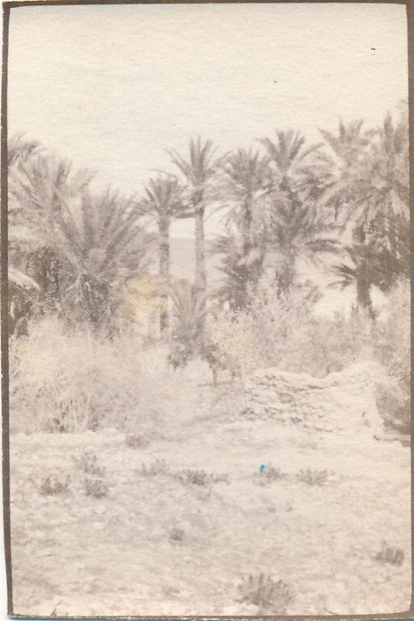 Takoumit Maroc colonialisme protectorat militaria 6 photo photographie