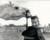 photo Maroc ? Afrique Nord enfant dromadaire tirage argentique époque vers 1960