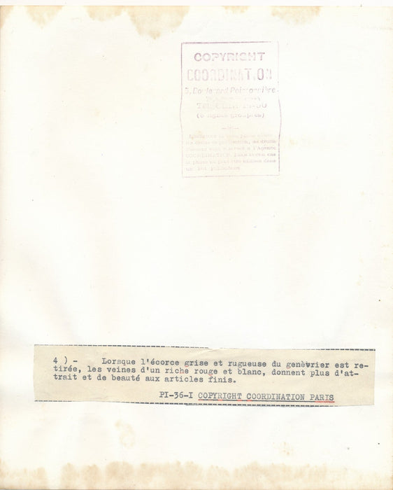 GARSTANG HODGSON 5 photos photographie époque bois sculpture Alberta