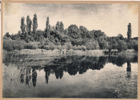 Photo Paysage au lac tirage au charbon v. 1920-1930