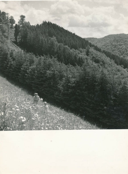 Botassart Belgique campagne photo photographie époque vintage campagne