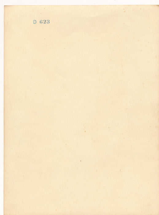 Portrait de femme au soleil, sourire. 2 photos photographie amateur maillot bain