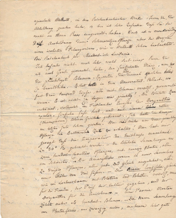 R. J. COURTOIS belle lettre à NEES VON ESENBECKv Floralies Gand 1834 botaniste