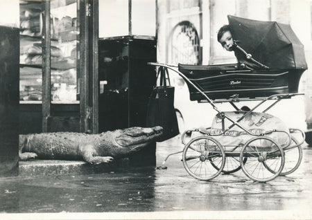Finsbury Town Hall London enchères 1974 crocodile humour bébé photo photographie