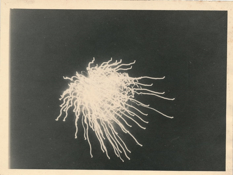 photographie feu feux artifice 3 tirage argentique d'époque Pologne Cracovie