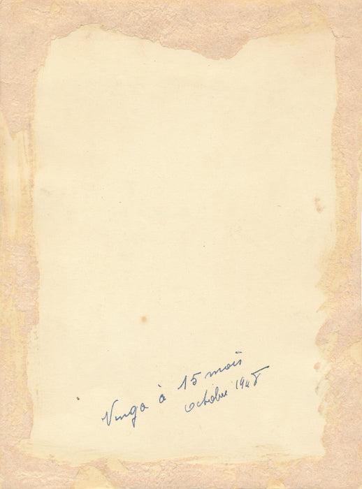 Tête portrait de chien photo photographie époque 1948