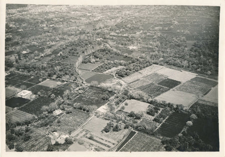 Les jardins de Damas vue aérienne photo photographie militaire 1927-1929