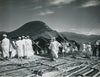 Maroc site Volubilis campement 2 photographie argentiques époque Bernard Rouget 
