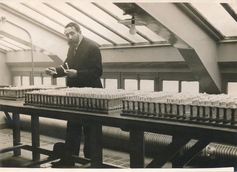 Émile ROUBAUD biologiste photo photographie laboratoire maïs insecte