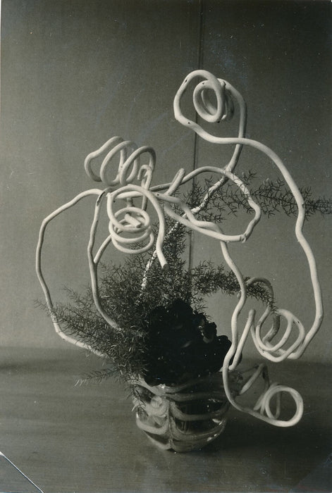 plante sculpture fils argentique années 1950 photo photographie