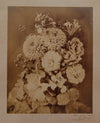 Composition florale Eugène Chauvigné albumine albumen photo photographie signée