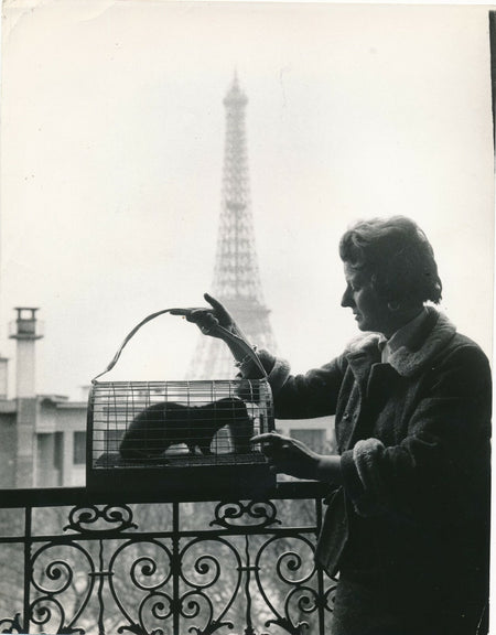 Tour Eiffel, fouine, cage, personnalité... photo photographie époque