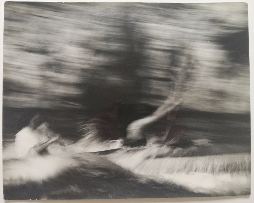 Photographie photo nageur vitesse composition eau piscine