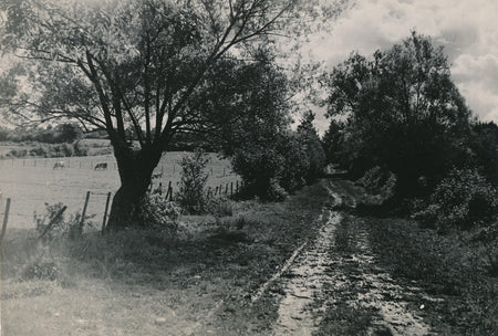 Campagne Bourg en Bresse photographie argentique époque Ina Bandy v. 1950