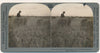 récolte blé Colorado Etats-Unis stéréo stéréographie photo photographie
