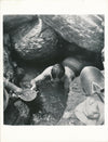 Chercheur or ? photo photographie argentique époque v. 1950-1960