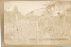 Neuvillers Meurthe Moselle 1917 militaria 8 photos boyau caillebotti spahis