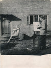 Norman PETT photo photographie bande dessinée Jane Daily Mirror