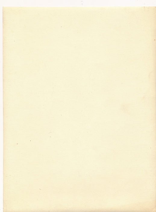 photo Paysage contre jour arbre forêt ciel noir argentique époque v. 1940