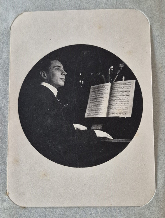 Album Photographie v. 1910 photo photographie couleur musicien paysage