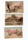 Japon jardins paysages scènes genre 15 tirages papier albuminé aquarellés photo