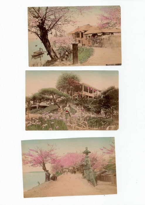 Japon jardins paysages scènes genre 15 tirages papier albuminé aquarellés photo
