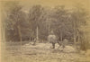 Rio Janeiro 1892 Brésil x 2 photo albuminé albumen Achille Israël fièvre jaune