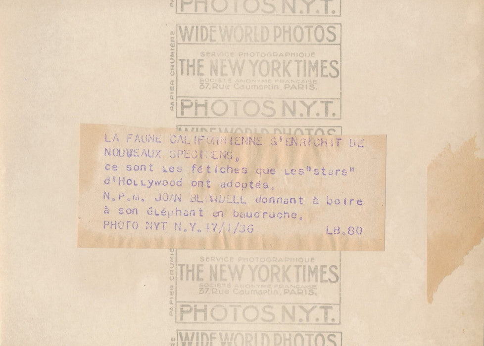 Un éléphant gonflable Hollywood Joan BLONDELL actrice photo photographie