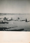Désert Sahara Frison-Roche Georges Tairraz 1951 expédition 4 photo phtographie