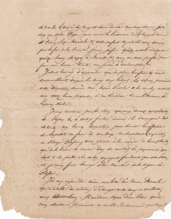 Marechal Pelissier lettre autographe signée famille jardin botanique