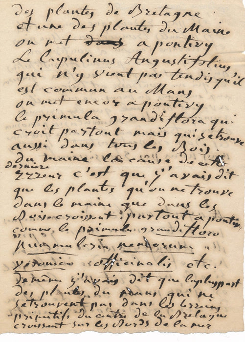 Botanique Louise Cauvin Thomas Pontivy Poitiers Bretange Maine autographe lettre