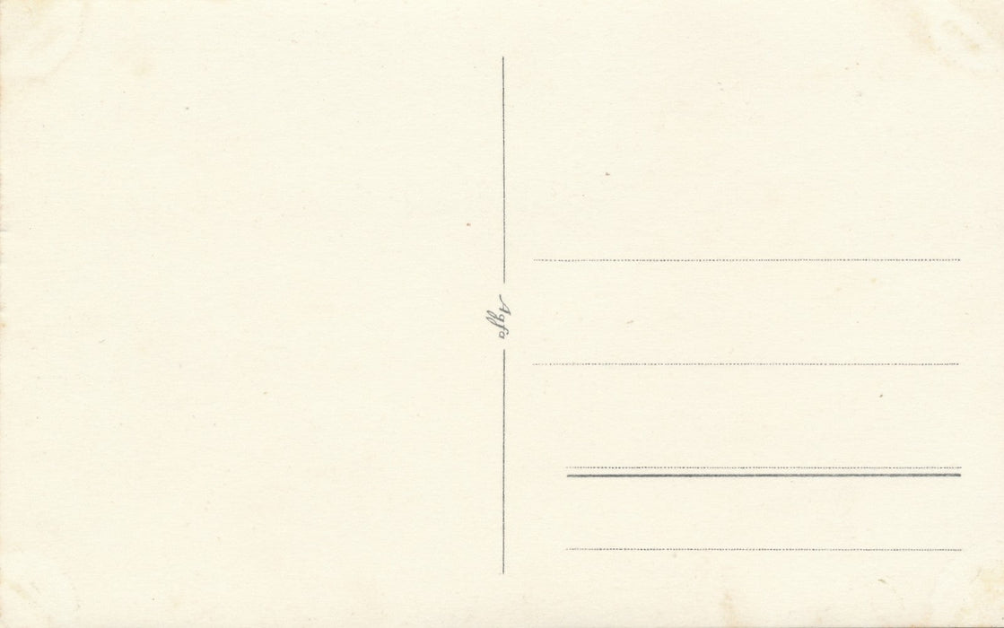 Au bord lac deux femmes arbre homme aux jumelles photographie argentique postale