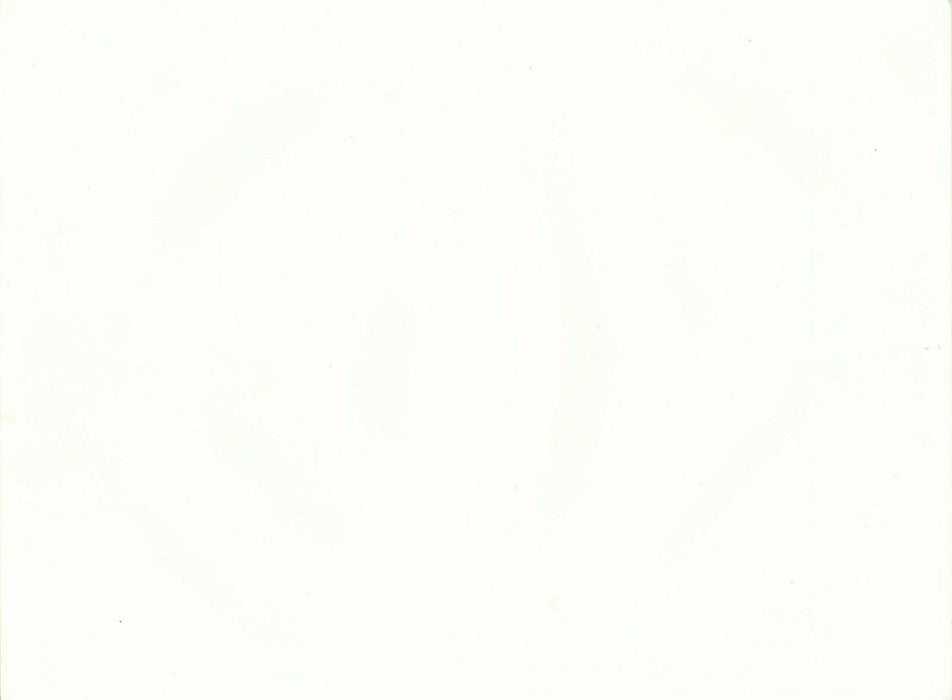 Photo ventre poil hairy tirage argentique papier RC v. 1980