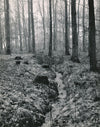 Gunnar Lundh forêt photo argentique époque cachet  dos années 50 riviere Suède